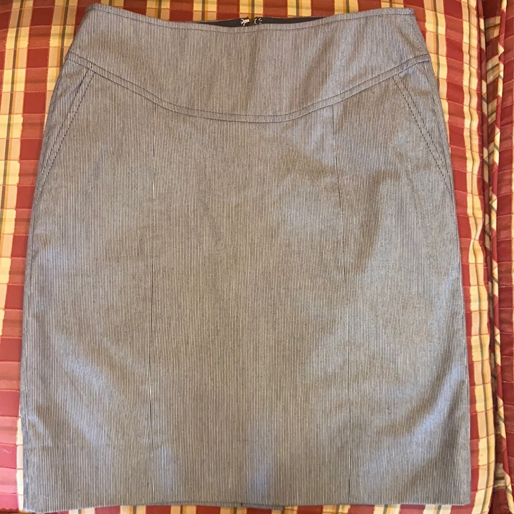 NWOT Banana Republic skirt